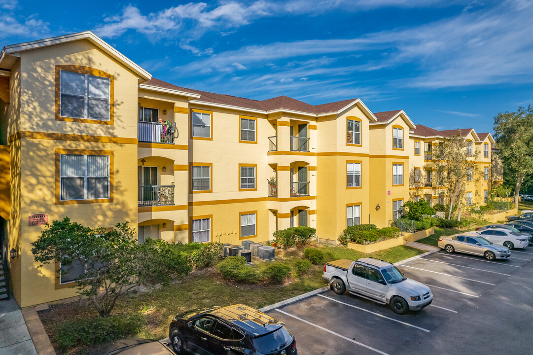 The Pinnacle at Carrollwood in Tampa, FL - Foto de edificio