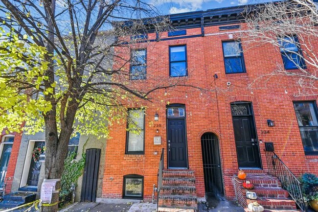 property at 236 S Wolfe St