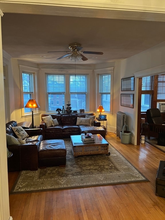 property at 34 Kilsyth Rd