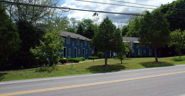 Fayette Villager Townhomes in Fayetteville, NY - Building Photo - Building Photo