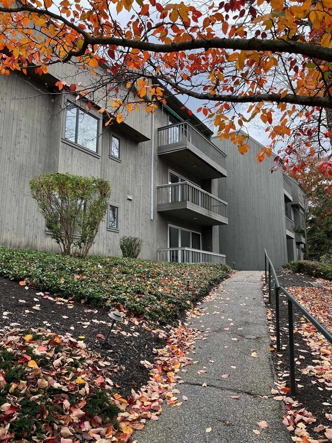 property at 1 Pine St