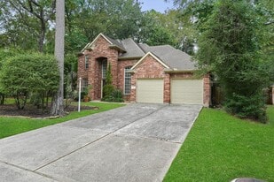 91 S Downy Willow Cir in Spring, TX - Building Photo