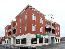 7742 W Higgins Rd in Chicago, IL - Building Photo