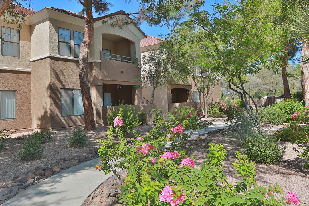 Camden Pecos Ranch in Chandler, AZ - Building Photo