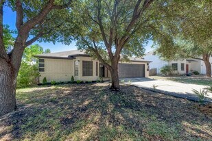 917 Satellite View in Round Rock, TX - Building Photo