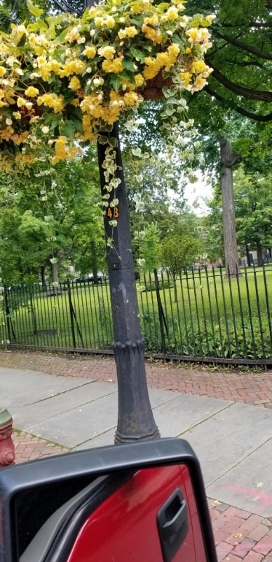 116 Washington St in Troy, NY - Building Photo - Building Photo