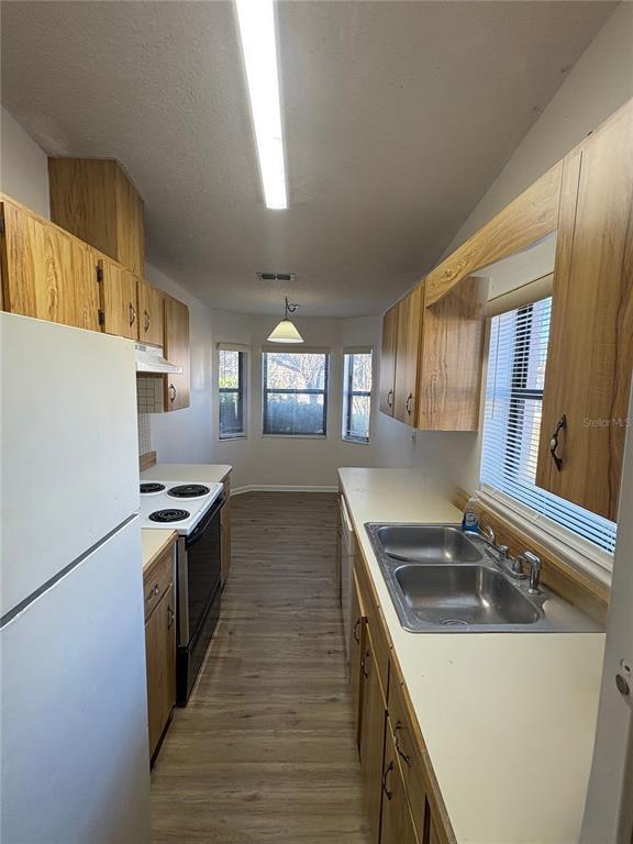 15 Prosperity Ln in Palm Coast, FL - Building Photo - Building Photo