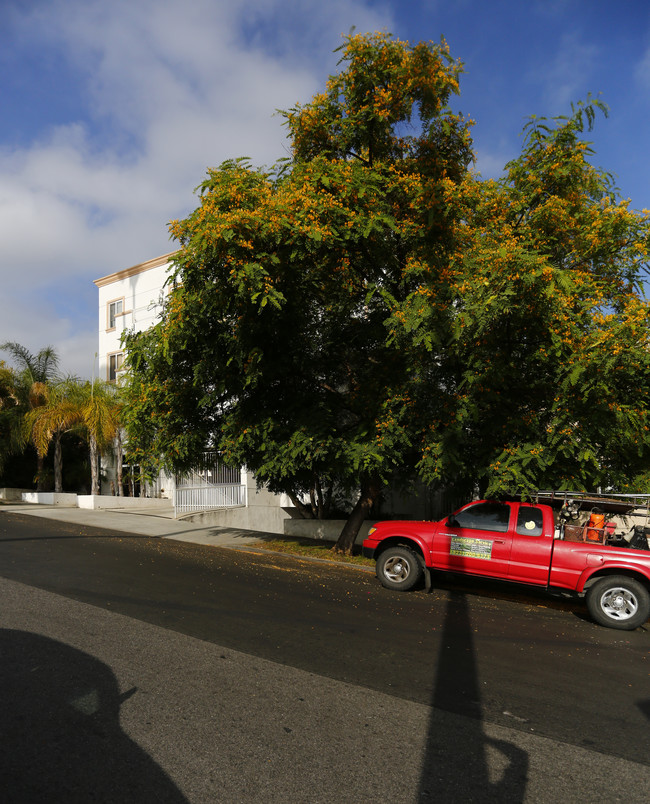 949 S Manhattan Pl in Los Angeles, CA - Building Photo - Building Photo