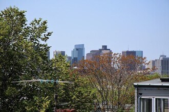 229 Princeton St, Unit 3 in Boston, MA - Building Photo - Building Photo