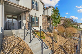 6246 Vernazza Way in Windsor, CO - Building Photo - Building Photo