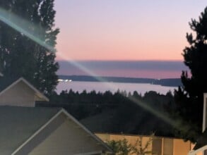 24028 25th Ave S in Des Moines, WA - Building Photo - Building Photo