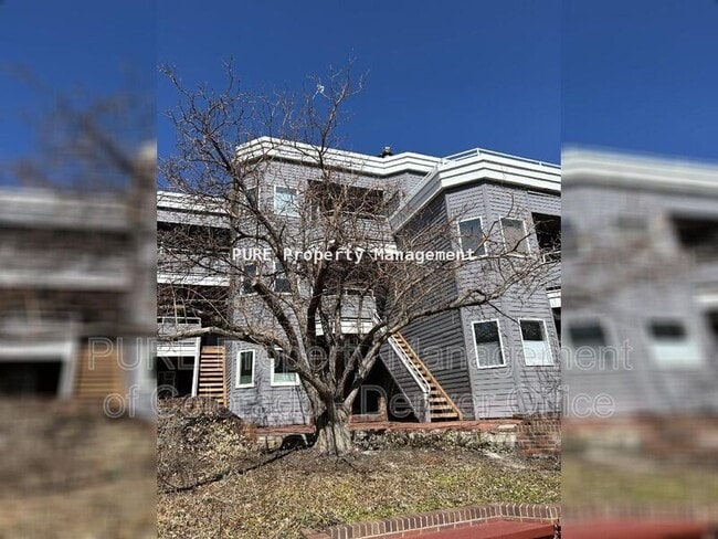 1529 Spruce St in Boulder, CO - Building Photo - Building Photo