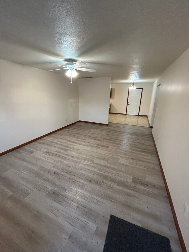 303 N 4th St in Auburn, IL - Building Photo - Building Photo