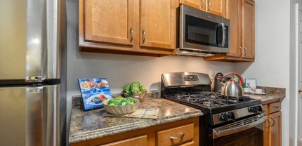 The Morgan Apartment Homes in North Bethesda, MD - Building Photo - Building Photo