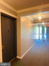 5821 Royal Ridge Dr in West Springfield, VA - Building Photo - Building Photo