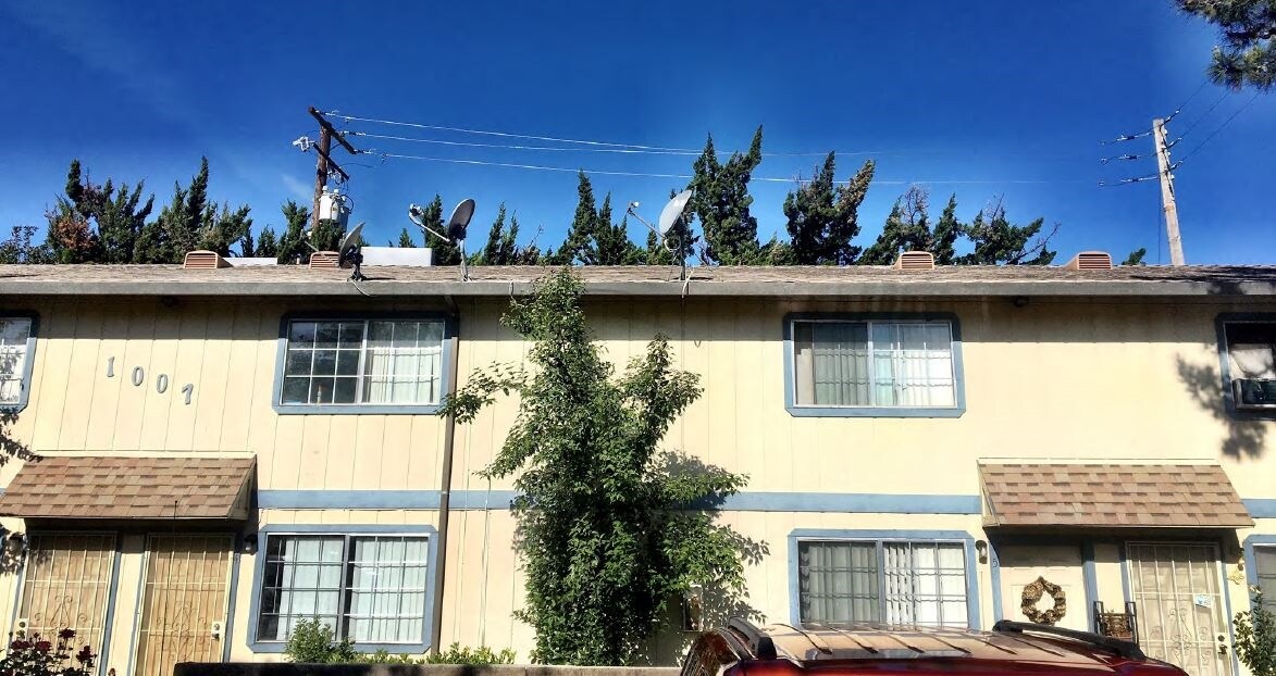 1007 Lloyd St in Lodi, CA - Building Photo