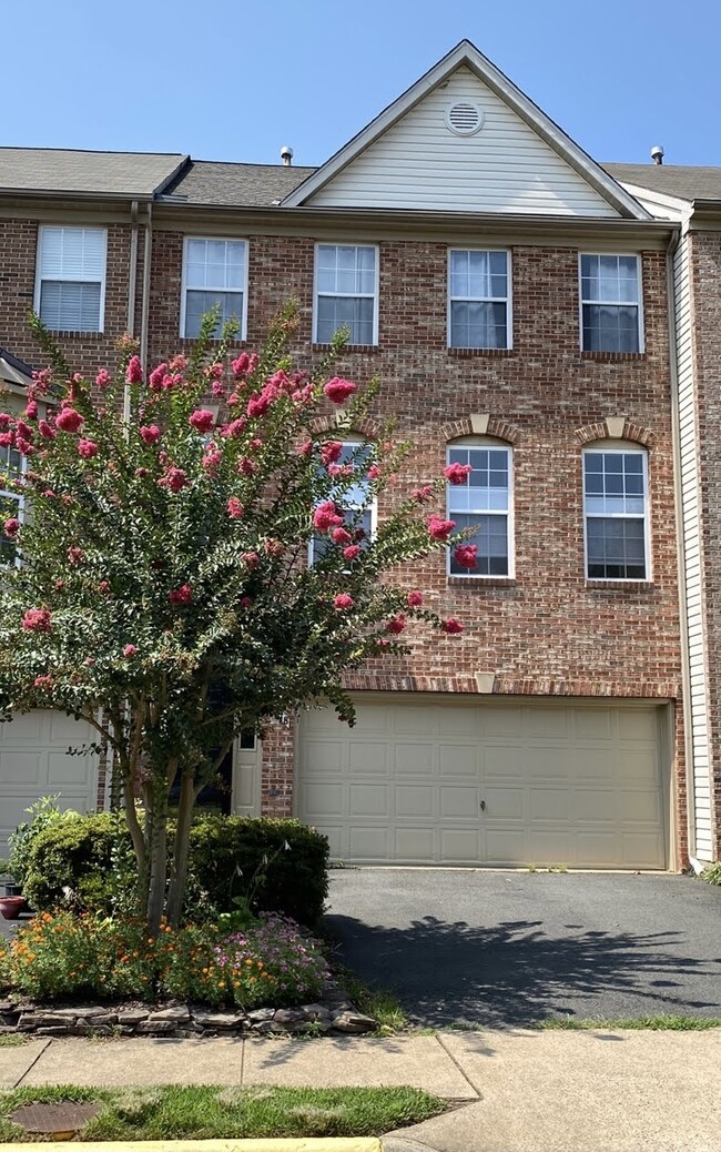 property at 4218 Trumbo Ct