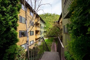 Willow Court Apartments