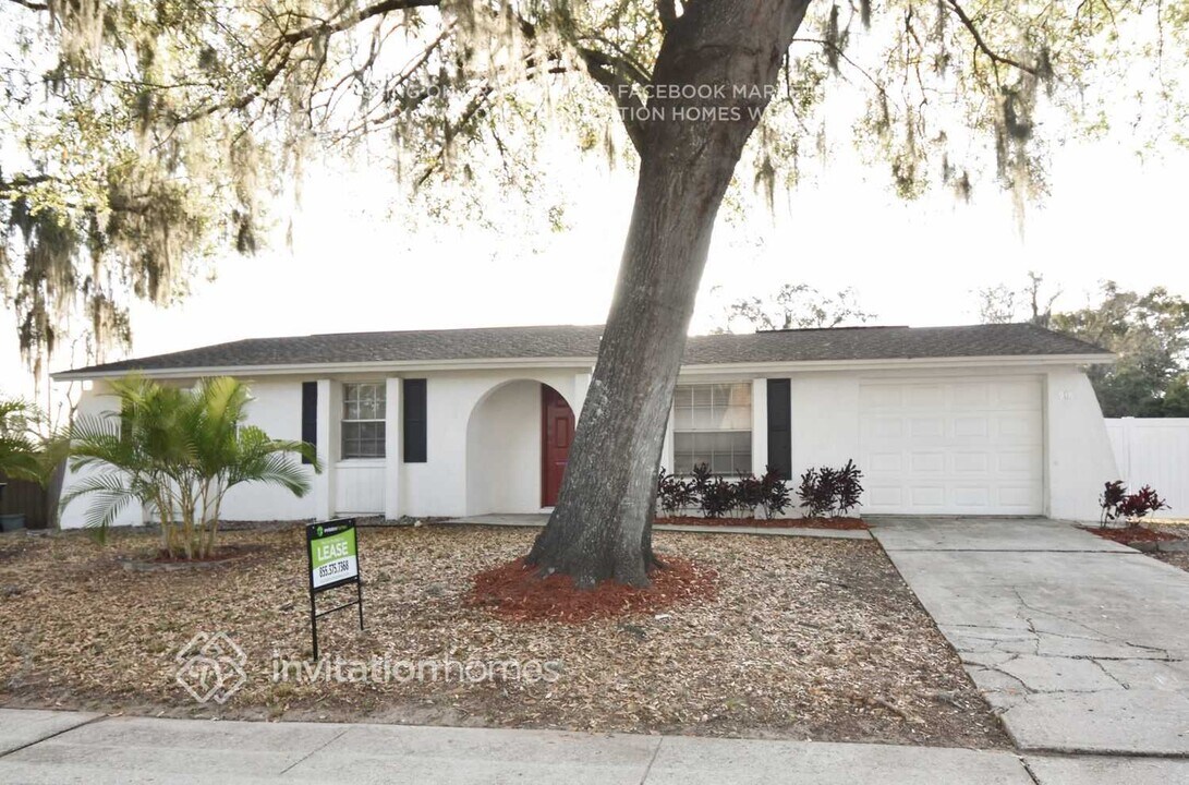 916 Kirkcaldy Way in Valrico, FL - Building Photo