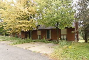 Martindale Townhomes in New Hudson, MI - Building Photo
