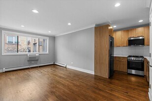541 W Oakdale Ave in Chicago, IL - Building Photo