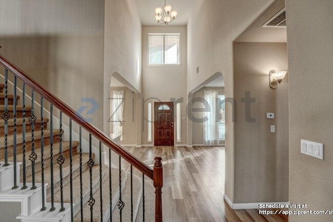 706 Green Vista Ct in Round Rock, TX - Building Photo - Building Photo