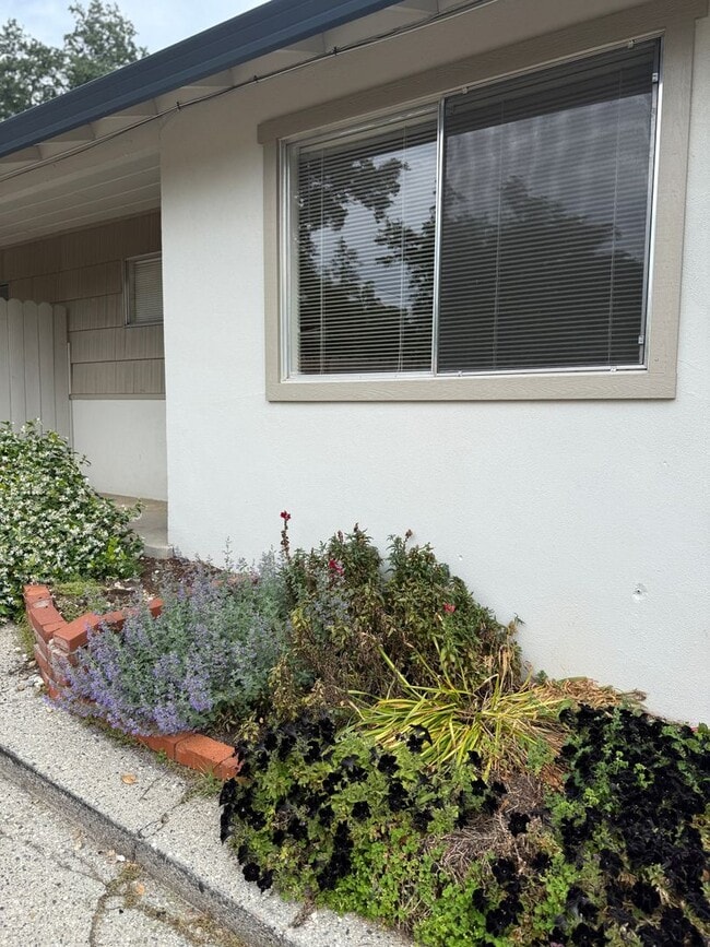 property at 485 Finley St