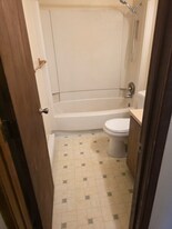 840 Stone Mountain Ct in Windsor, CO - Building Photo