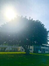 315 Camden M in West Palm Beach, FL - Building Photo - Building Photo