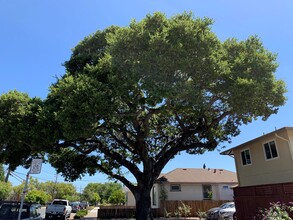 600 9th Ave in San Mateo, CA - Building Photo - Building Photo