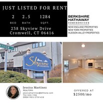 238 Skyview Dr in Cromwell, CT - Building Photo