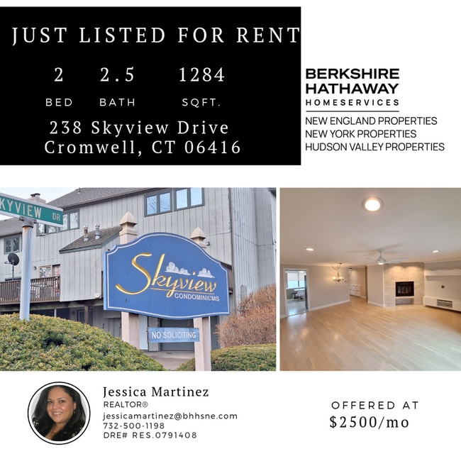 property at 238 Skyview Dr