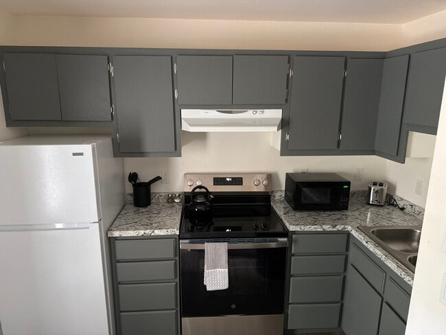 113 Loretta Ct, Unit Unit 3 in Ouray, CO - Building Photo - Building Photo