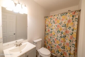 56 Catherine St in Albany, NY - Building Photo - Building Photo