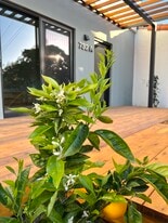 732 Bond Ave in Santa Barbara, CA - Building Photo