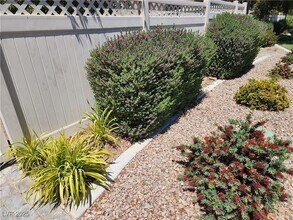 6434 N Buttercup Creek St in North Las Vegas, NV - Building Photo - Building Photo