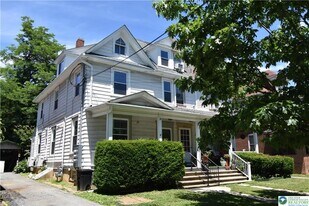219 W Burke St in Easton, PA - Building Photo