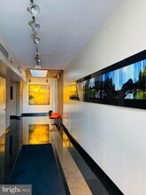 1654 Euclid St NW, Unit 105 in Washington, DC - Building Photo - Building Photo