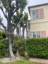 1317 19th St, Unit C in Santa Monica, CA - Building Photo - Building Photo