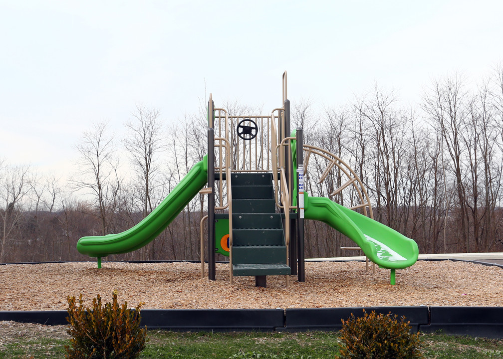 Streetsboro Townhomes in Streetsboro, OH - Building Photo