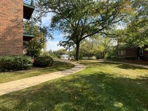 905 Casey Ct in Schaumburg, IL - Building Photo - Building Photo