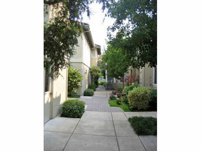 Vineyard Court in Morgan Hill, CA - Building Photo - Building Photo