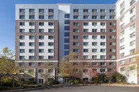 The Woodlands in Bronx, NY - Building Photo - Building Photo