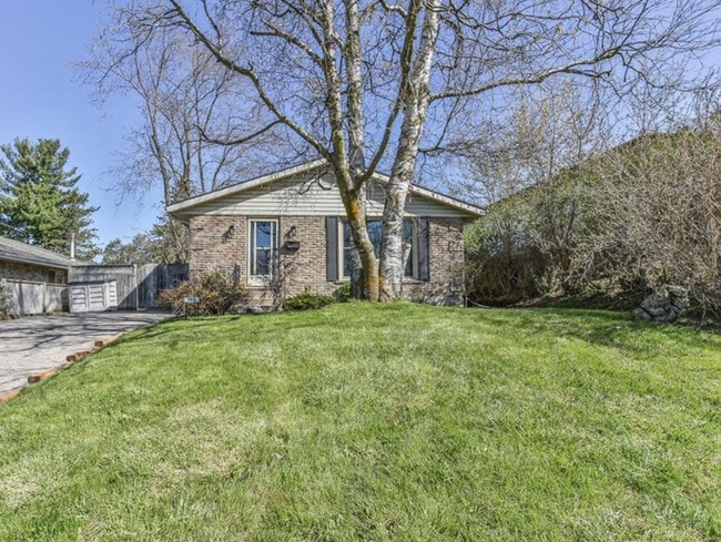 property at 319 Albert St