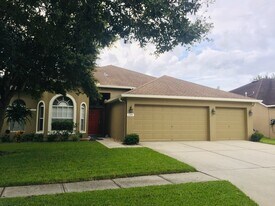 1147 Big Creek Drive in Wesley Chapel, FL - Building Photo