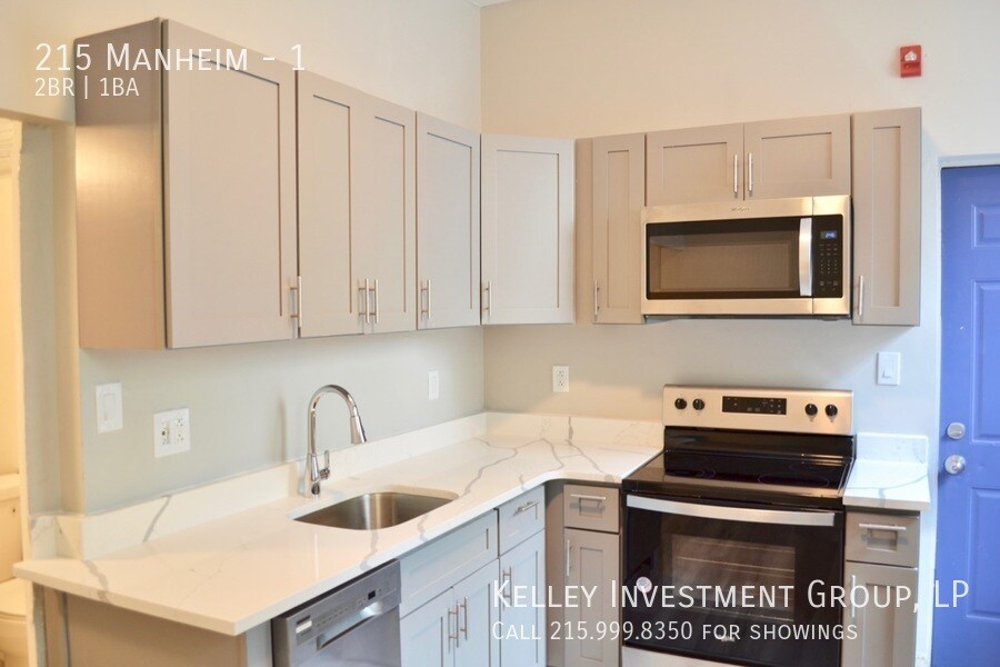 215 Manheim St in Philadelphia, PA - Building Photo
