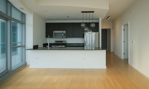 303 W Ohio St in Chicago, IL - Building Photo - Building Photo