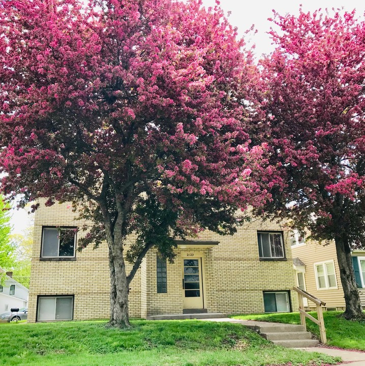 2123 16th St, Unit Studio 1 in Rock Island, IL - Building Photo