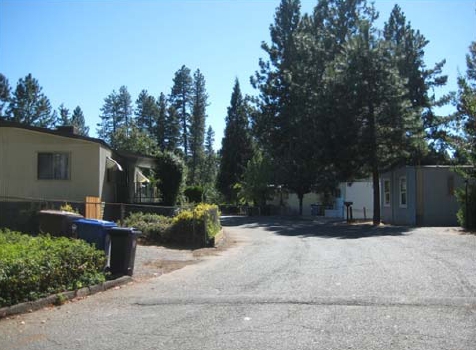 Pine Grove MHC in Paradise, CA - Building Photo - Building Photo