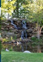 10092 Hideaway Cove in Aurora, OH - Building Photo